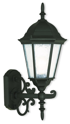 Livex Hamilton 1 Light TBK Outdoor Wall Lantern - C185-75463-14